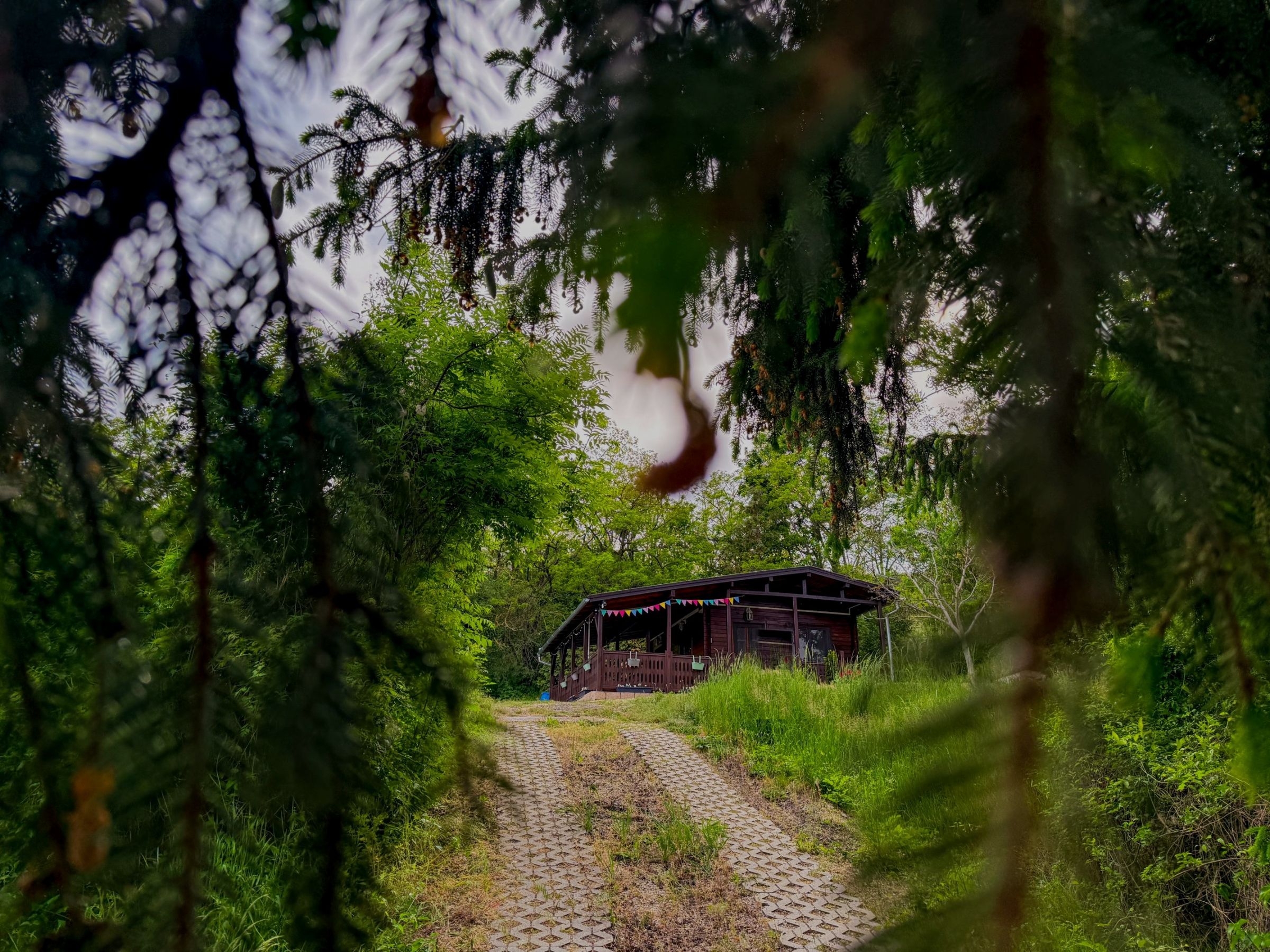 A CabinBakony faház az erdő szélén