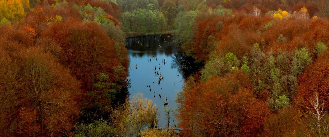 Hubertlaki-tó (Gyilkos-tó)